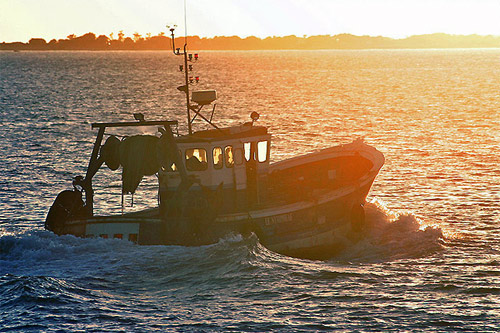 bateaux de peche